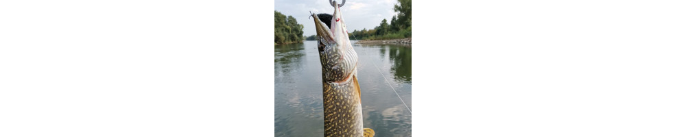 Štuka