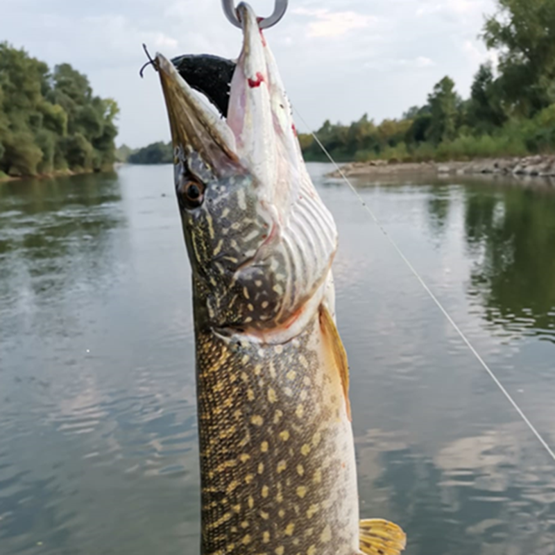 Štuka
